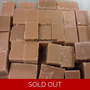The Fudge Factory Vegan Vanilla Fudge